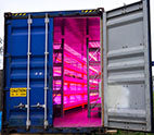 Shipping Container setup for Aquaponics combining Fish Aquaculture with Hydroponics